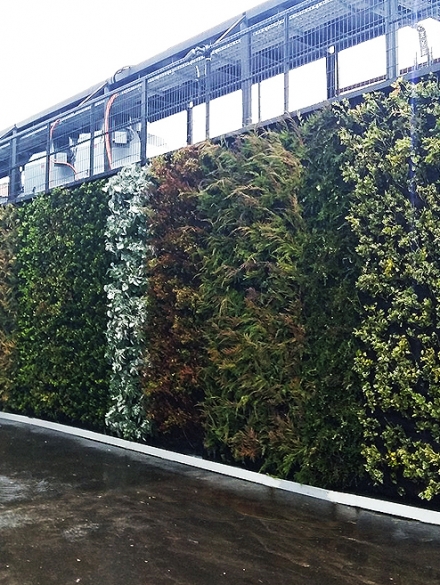 yeditepe_universitesi2